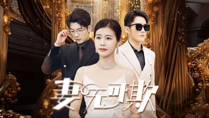 妻无可欺第1-20集