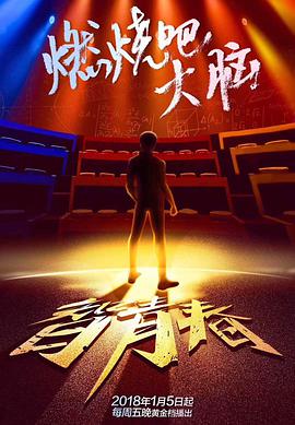 最强大脑之燃烧吧大脑 第一季最强大脑第五季20180105期