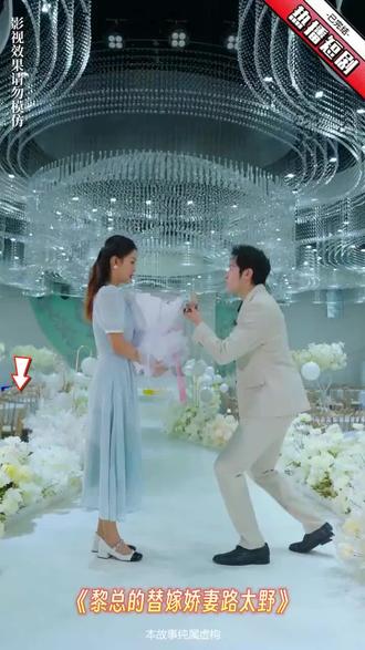 黎总的替嫁娇妻路太野1-10集