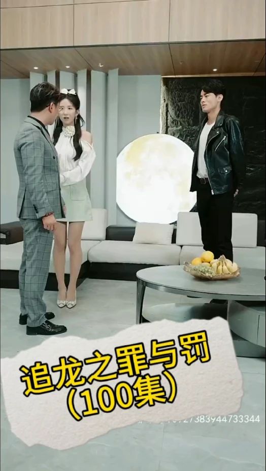 追龙之罪与罚全集(大结局)