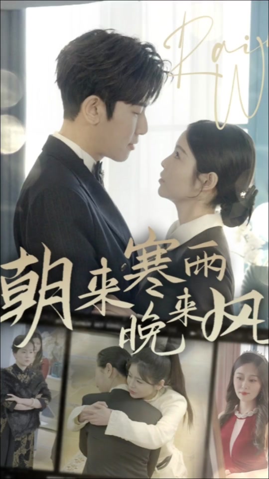 朝来寒雨晚来风全集 (下)